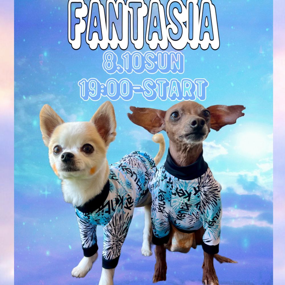 FANTASIA / ファンタジア