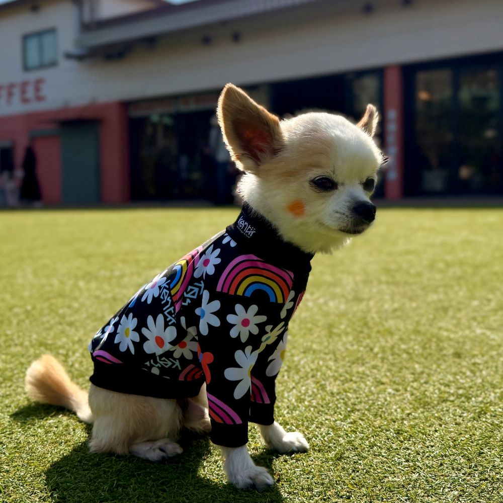 Le Ciel / ルシェル