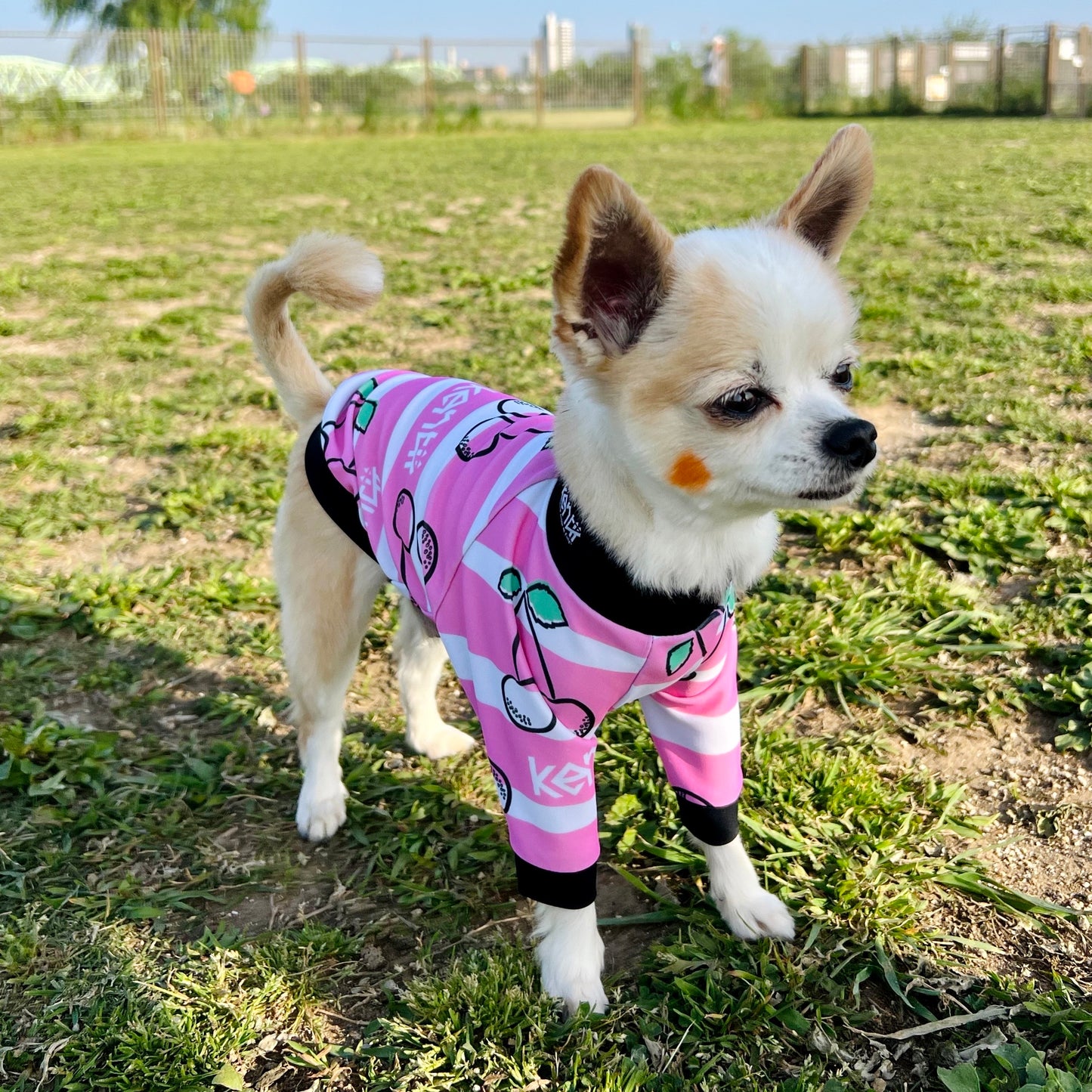 PINKY