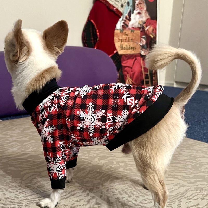 JOYFUL / ジョイフル