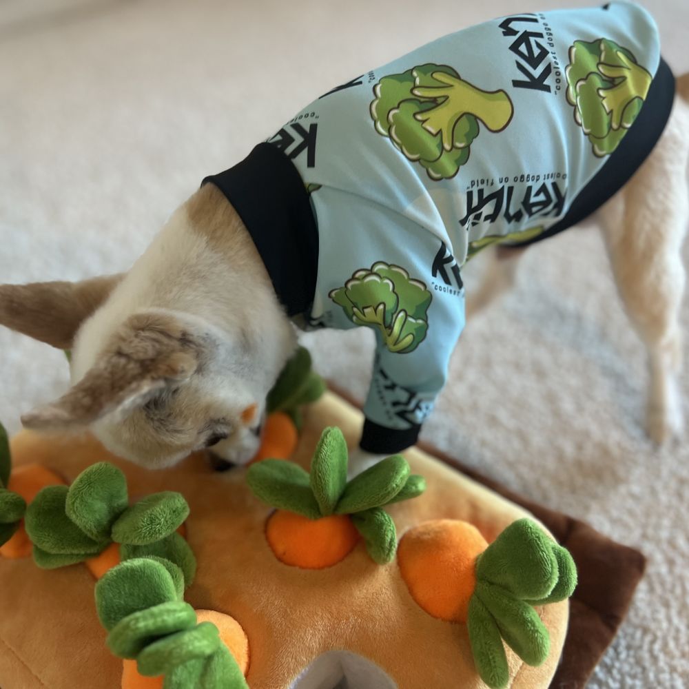 Broccoli / ブロッコリー