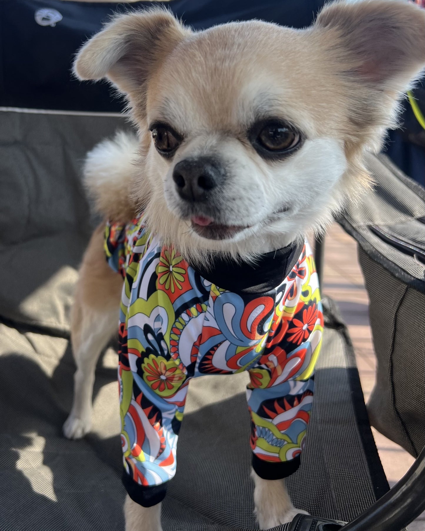 Hippie Flower / ヒッピーフラワー