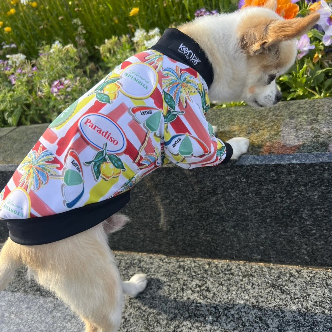 CAPRI / カプリ