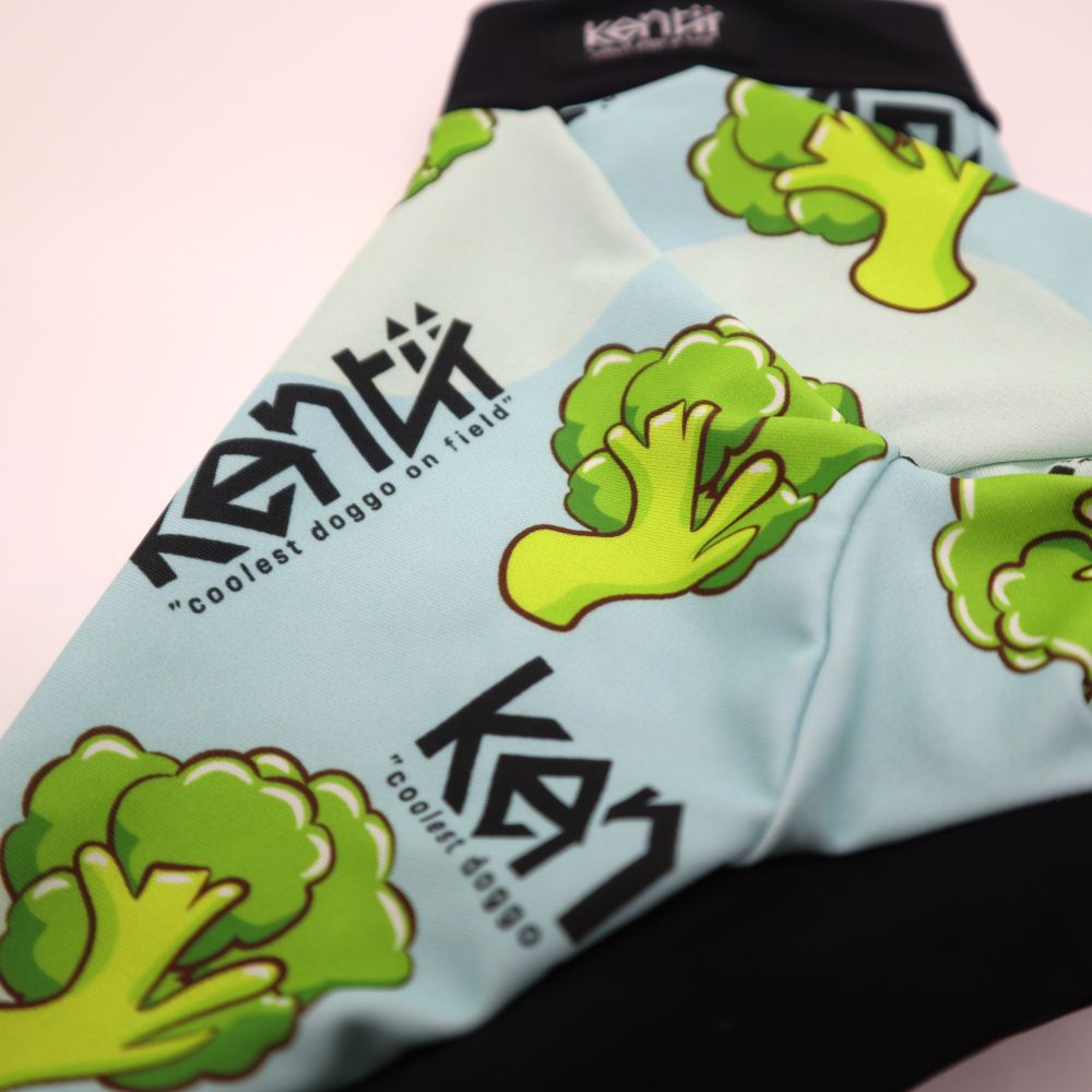 Broccoli / ブロッコリー