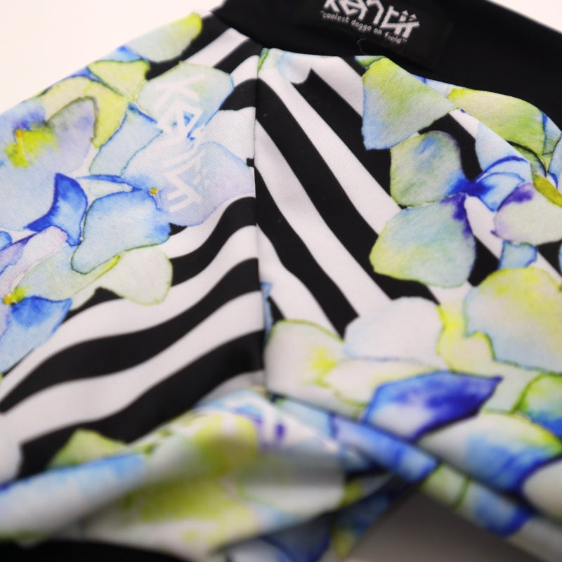 Hortensia / オルテンシア