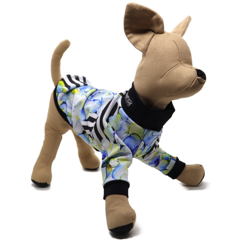 Hortensia / オルテンシア