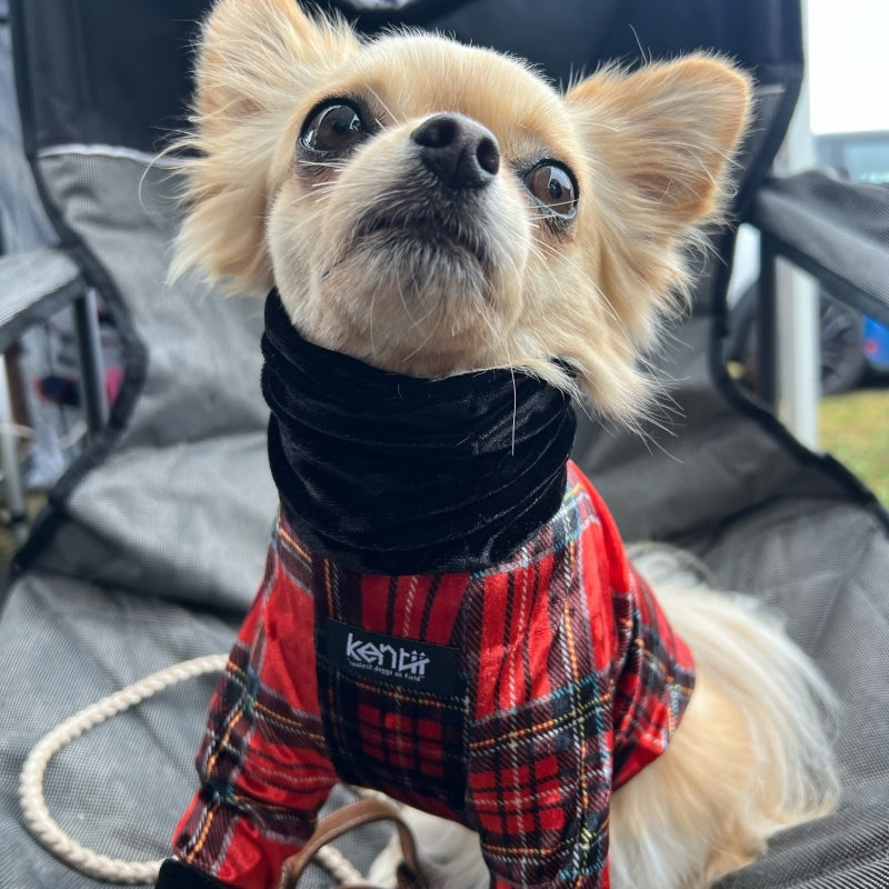 Royal Tartan (RED)