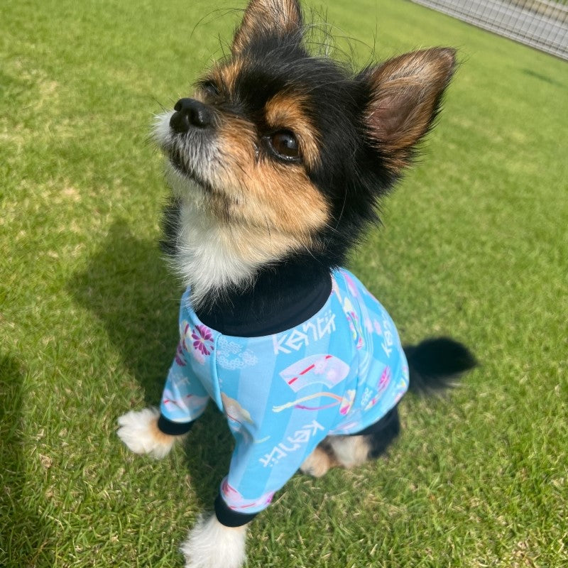 Temari (BLUE)