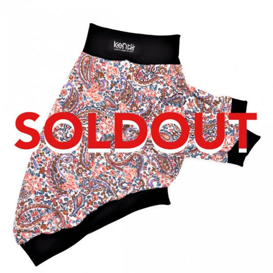 PAISLEY