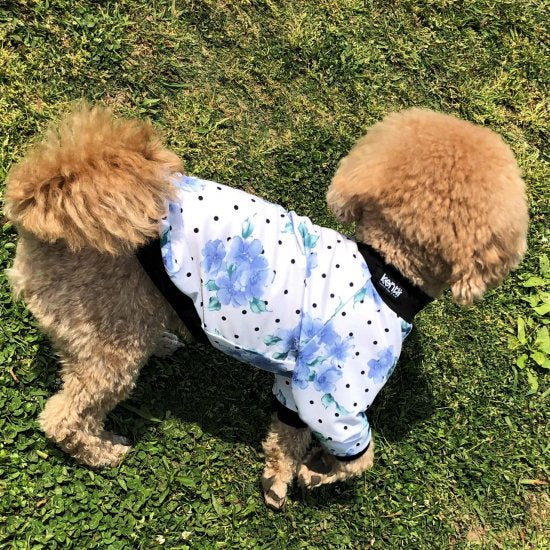 RAINY DROP (BLUE) / Rainy drop blue