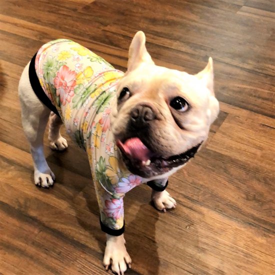 JOLIE(BEIGE)/ジョリー・ベージュ