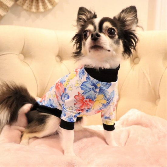 JOLIE(WHITE)/ジョリー・ホワイト