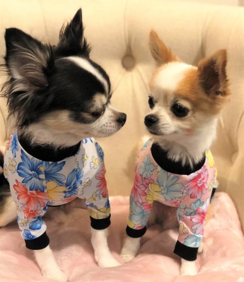 JOLIE(PINK)/ジョリー・ピンク