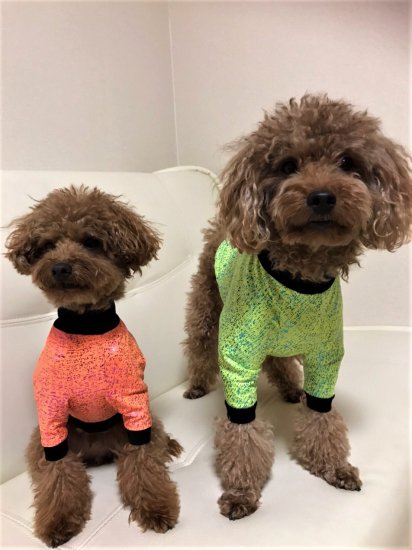 GLITTER(Lime Green)