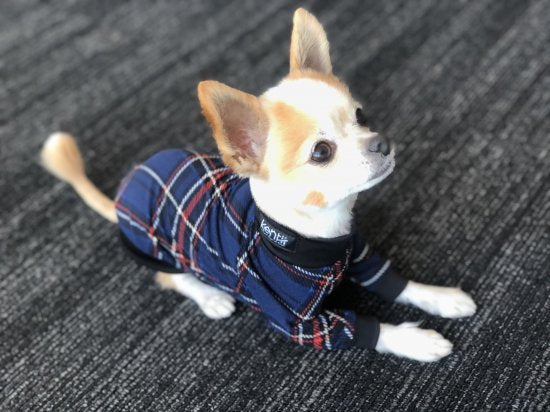 CLASSIC(Navy)