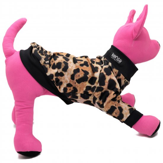 LEOPARD2020 / レオパード2020