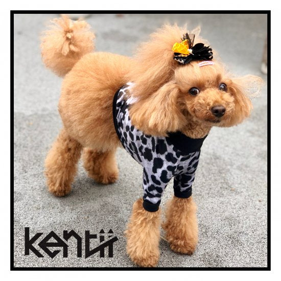 LEOPARD(SNOW) / レオパード・スノー