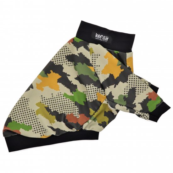 CAMOUFLAGE / camouflage