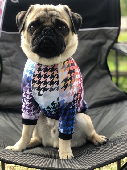 Hound's Tooth / ハウンドトゥース