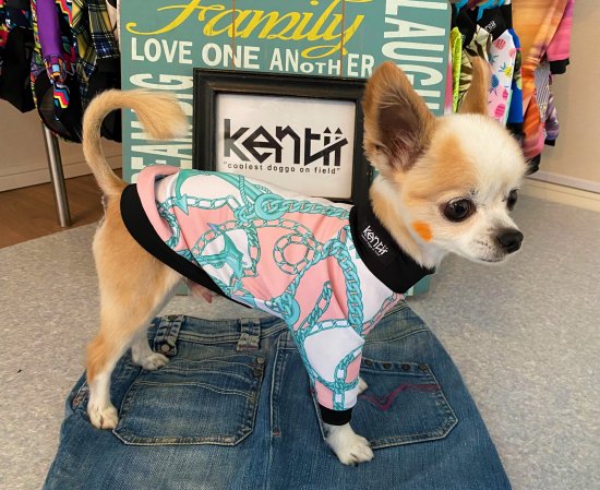 HARBOR〜CHAIN〜(PINK) / ハーバー 〜チェーン〜 ・ ピンク