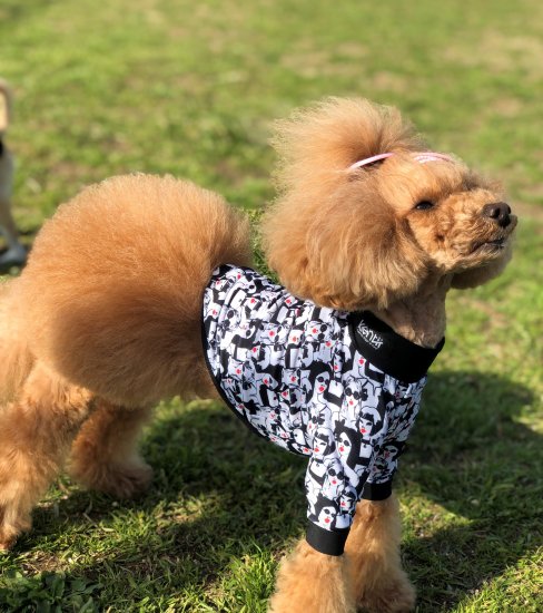 Fashionista