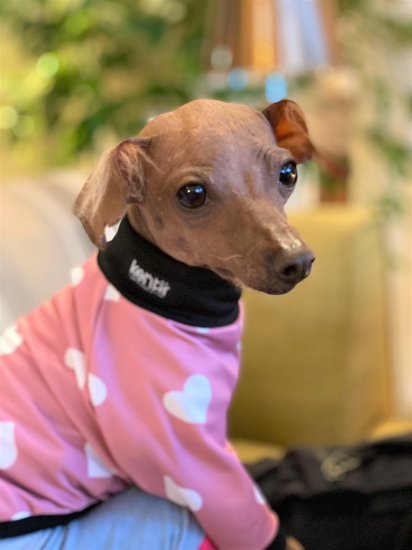 BESTIE (PINK)