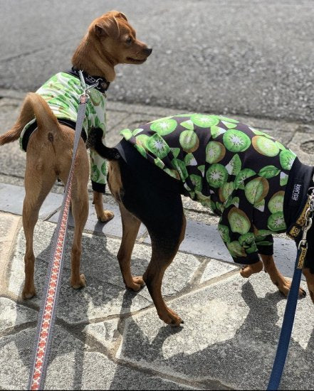 Kiwi (BLACK) / キウィ・ブラック