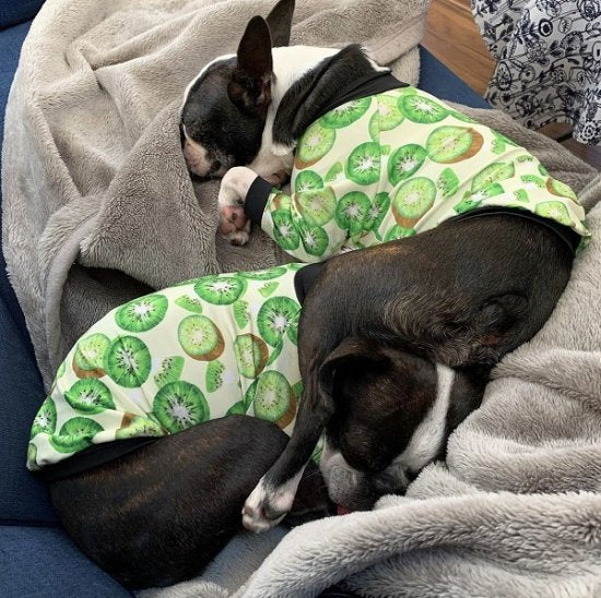 Kiwi (IVORY) / キウィ・アイボリー