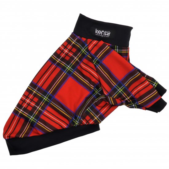 Preppy Check (Red)