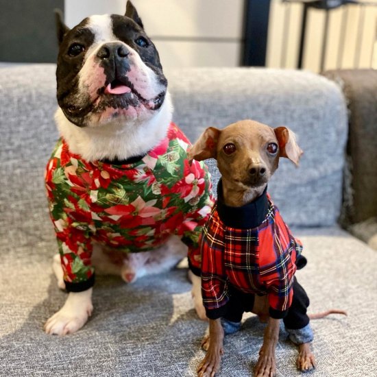 Preppy Check (Red)