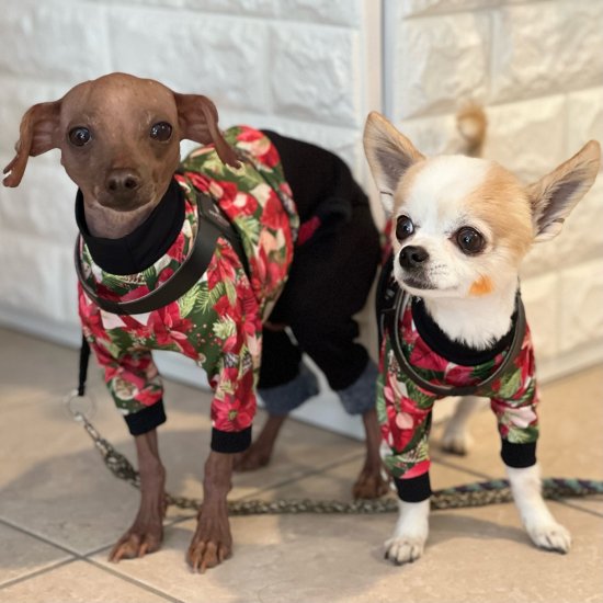 Holiday / ホリデイ