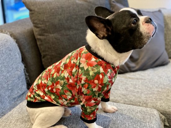 Holiday / ホリデイ