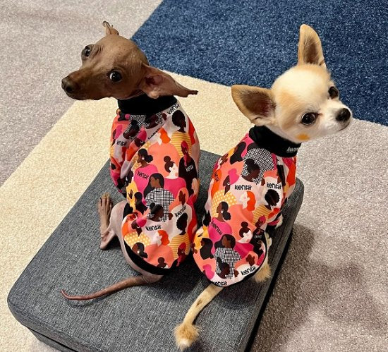 Imagine / イマジン ≪Charity project≫