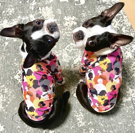 Imagine / イマジン ≪Charity project≫