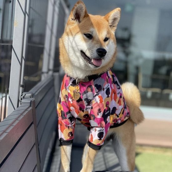 Imagine / イマジン ≪Charity project≫