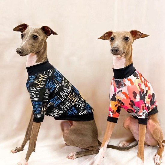 Imagine / イマジン ≪Charity project≫