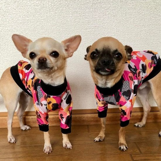 Imagine / イマジン ≪Charity project≫