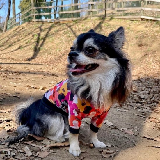 Imagine / イマジン ≪Charity project≫