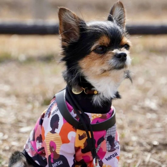 Imagine / イマジン ≪Charity project≫