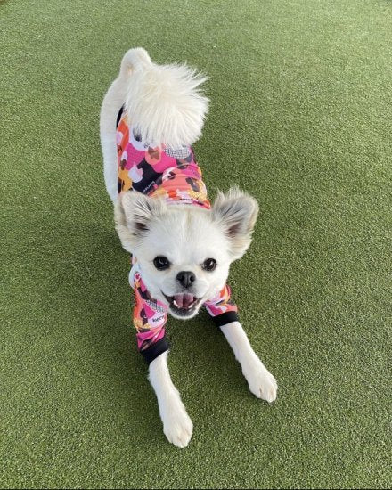 Imagine / イマジン ≪Charity project≫