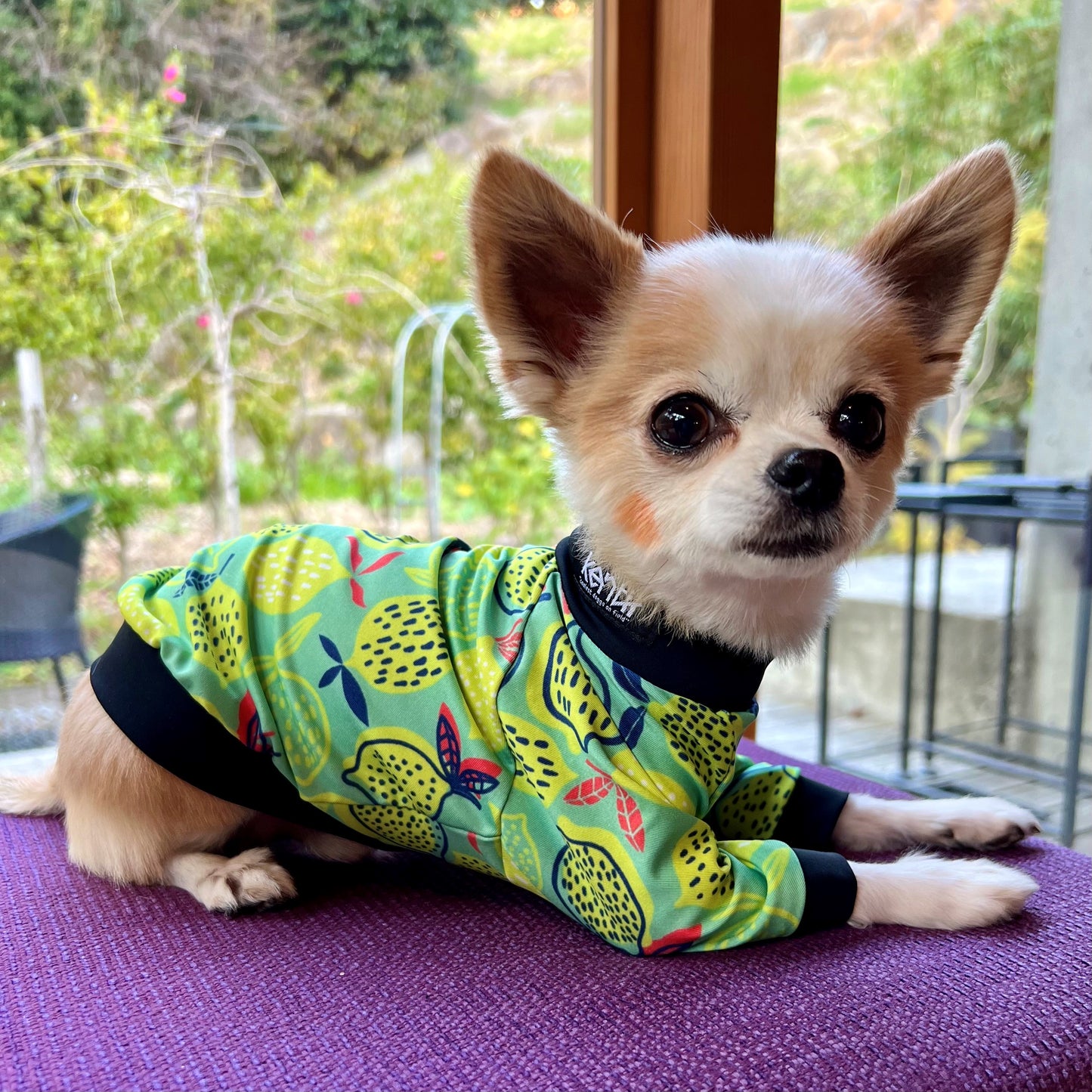 Lemonade(Green) / レモネード・グリーン