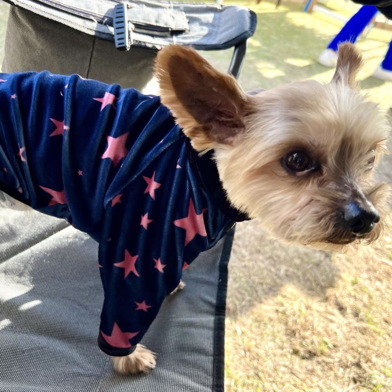 STAR (Navy)