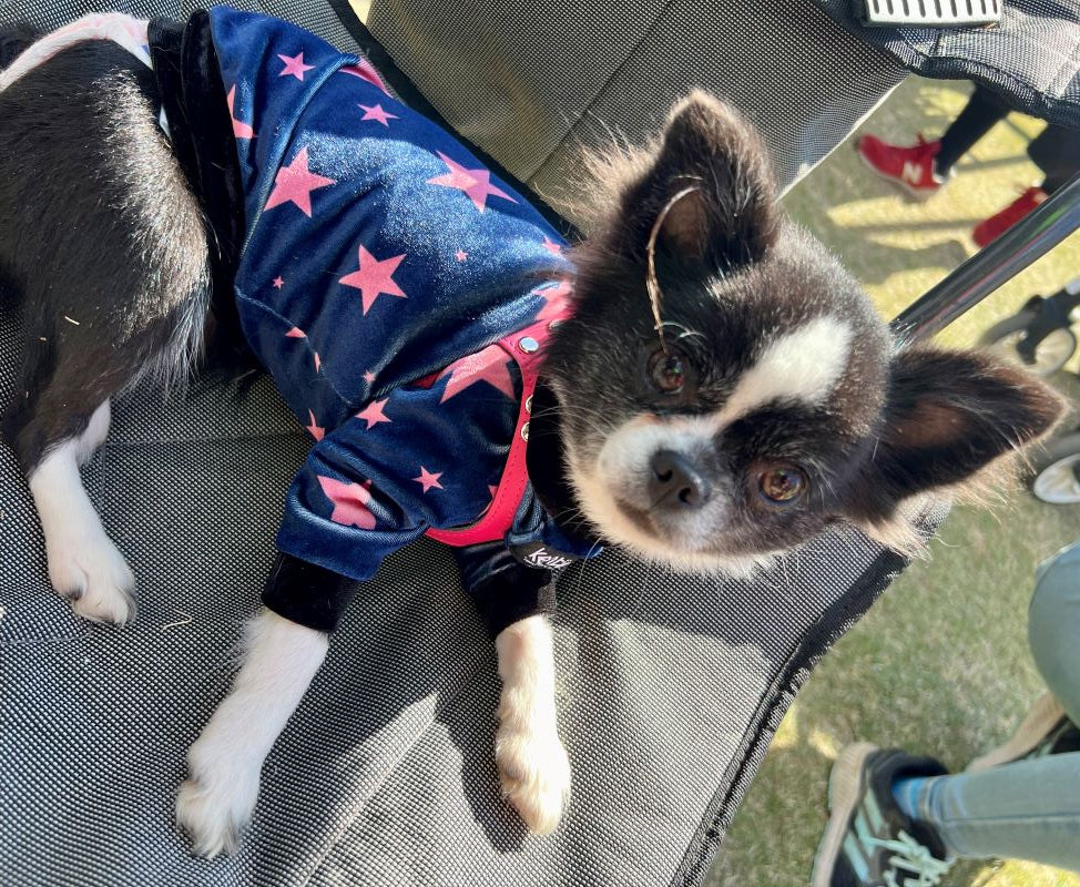 STAR (Navy)
