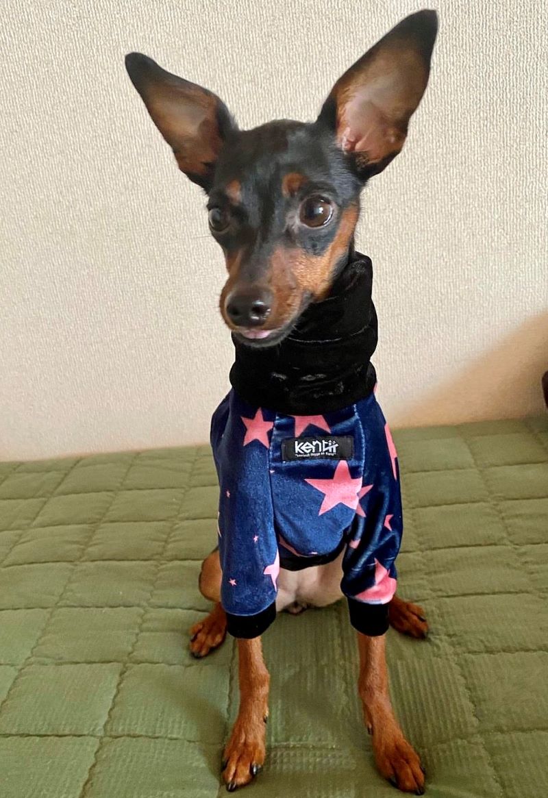 STAR (Navy)