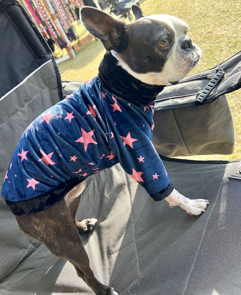 STAR (Navy)