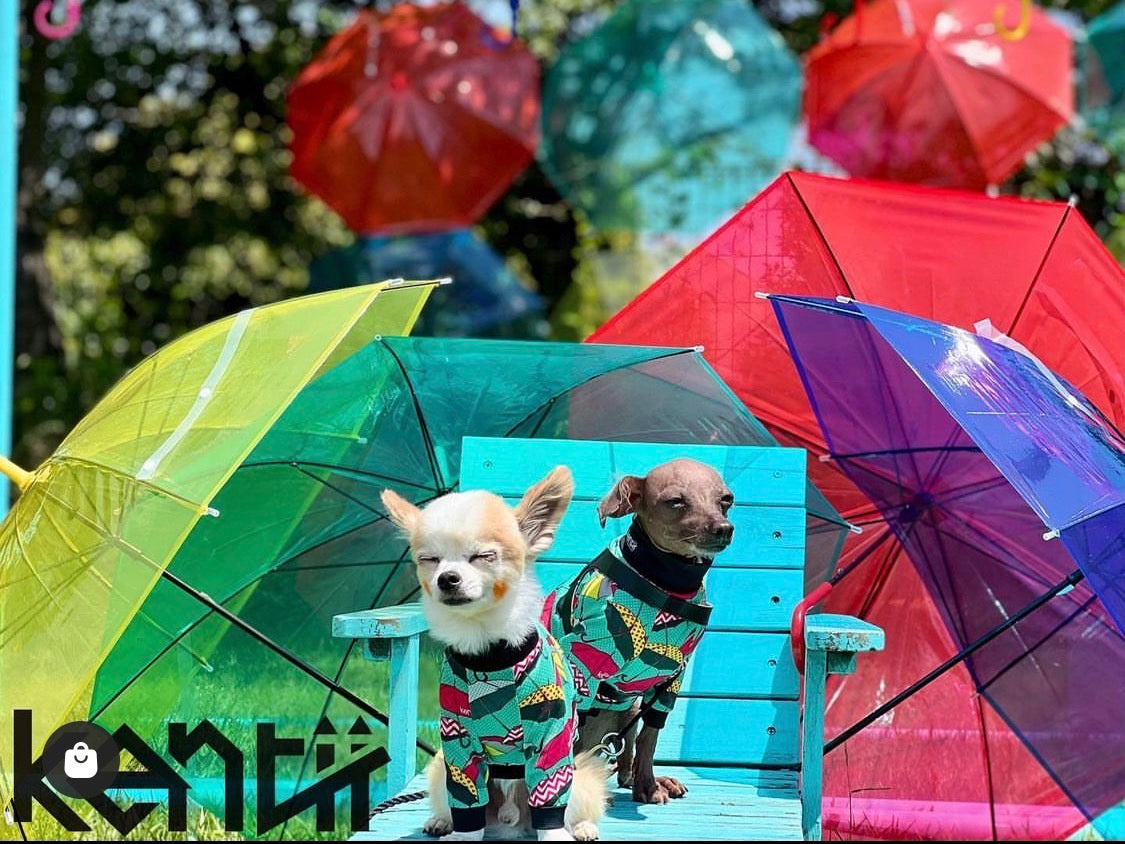 Umbrella Sky