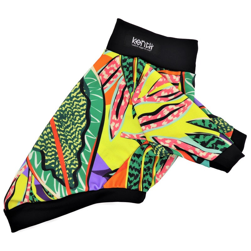 Jungle / ジャングル