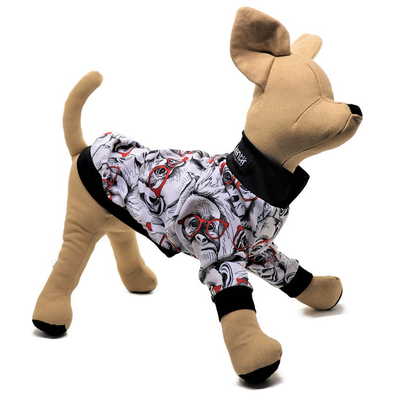 Intelligence / インテリジェンス