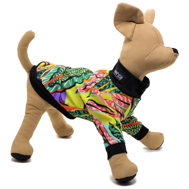 Jungle / ジャングル