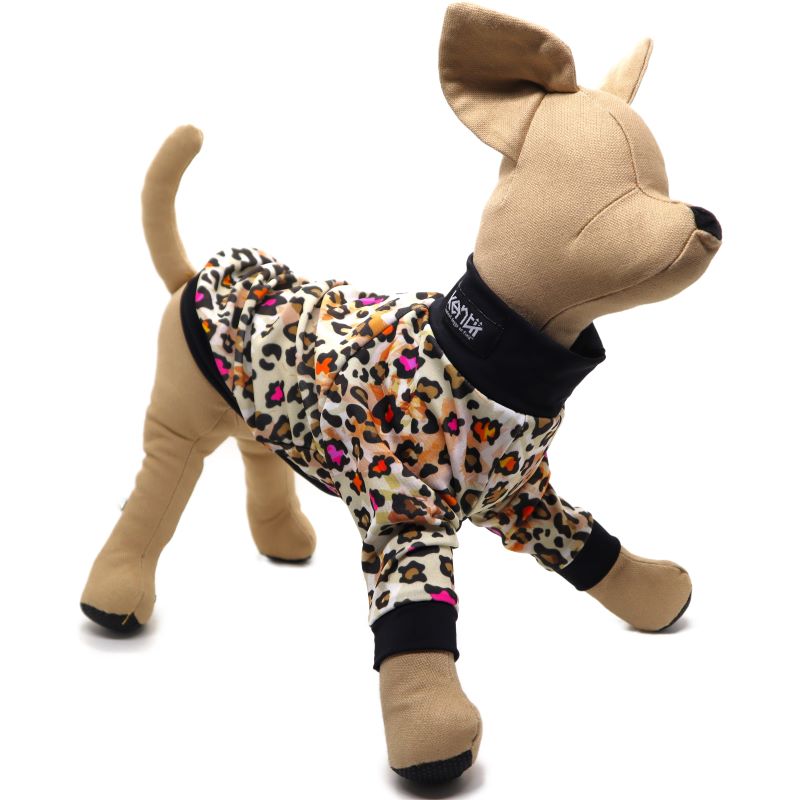 Hunter / ハンター